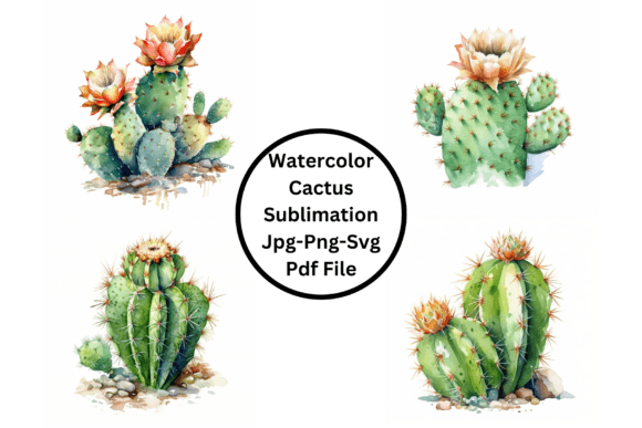Download Watercolor Cactus Sublimation - Cactus sublimation Collection
