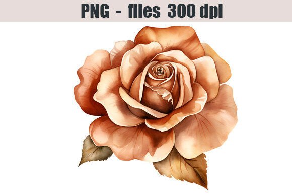 Download Bronze Rose Watercolor Clipart Graphic - Premium Resources